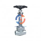 氣動(dòng)閘閥的結(jié)構(gòu)和使用說明是什么？